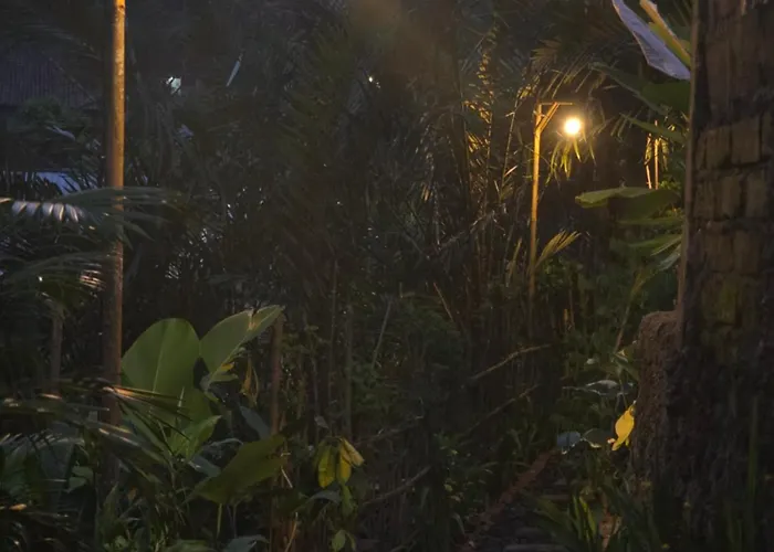 Sunrise Hill Bamboo House-private Jungle Villa