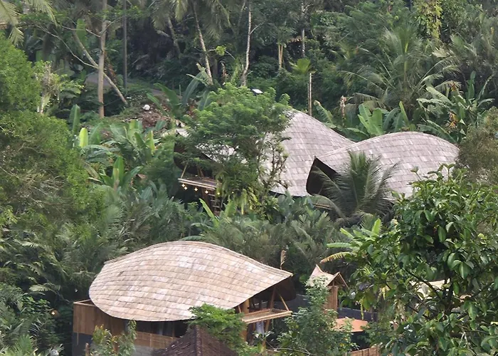 Sunrise Hill Bamboo House-private Jungle Villa