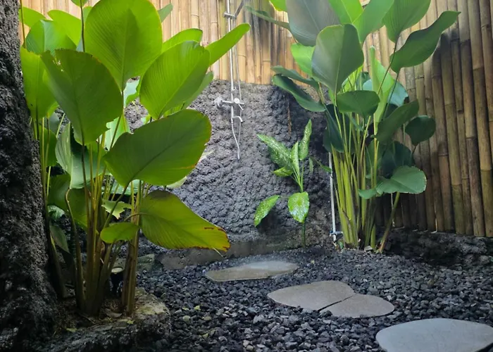 Sunrise Hill Bamboo House-private Jungle Villa *