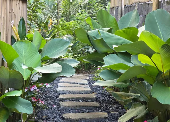 Villa Sunrise Hill Bamboo House-private Jungle *
