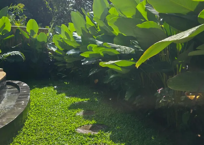 Sunrise Hill Bamboo House-private Jungle